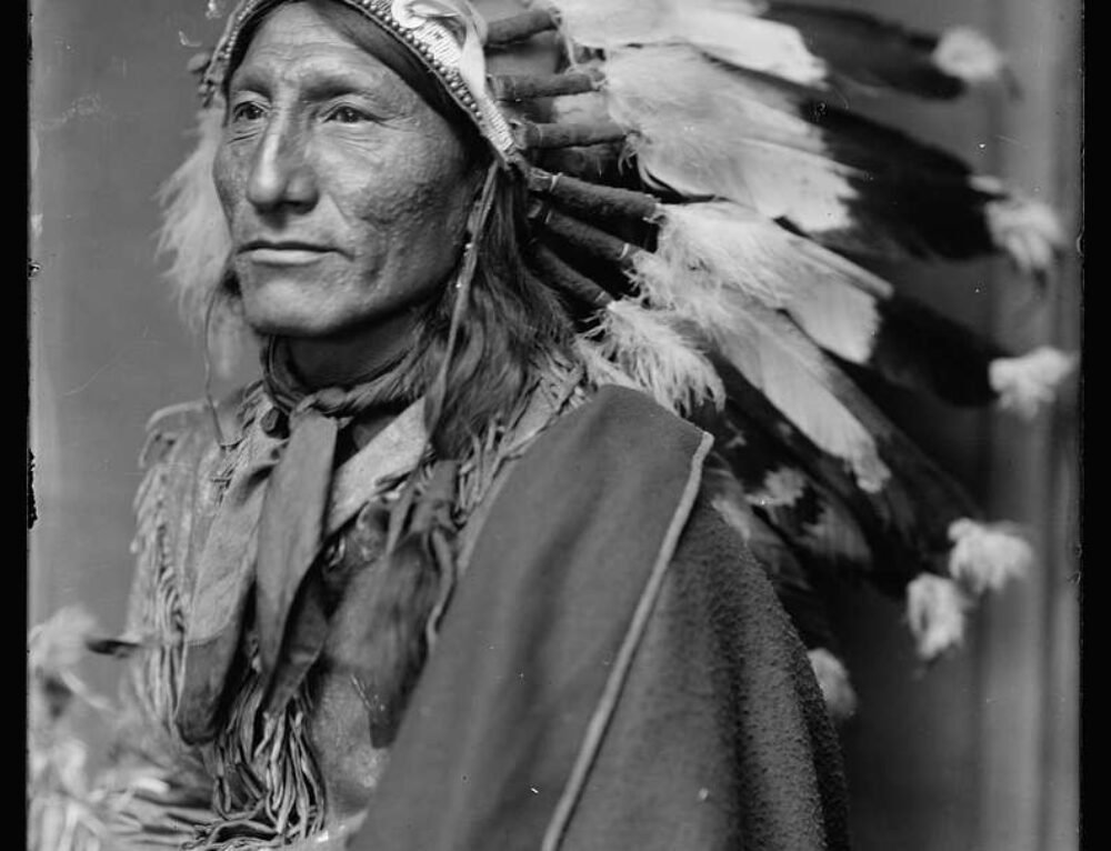 american-quarter-horse-nick-brumby-westerns